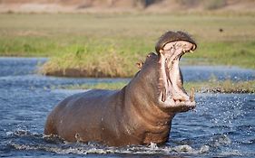 Kosi Bay Hippo Lodge & Resort